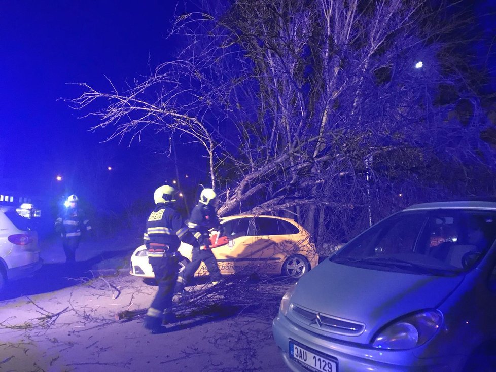 V Dřevčické ulici spadl strom na zaparkovaná auta.