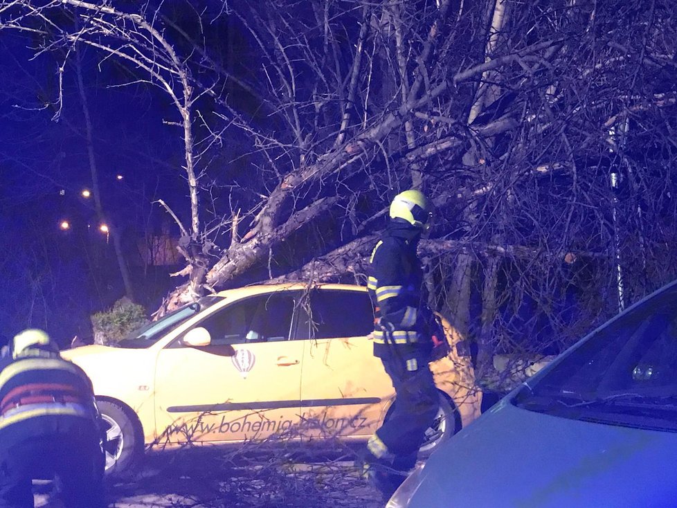 V Dřevčické ulici spadl strom na zaparkovaná auta.