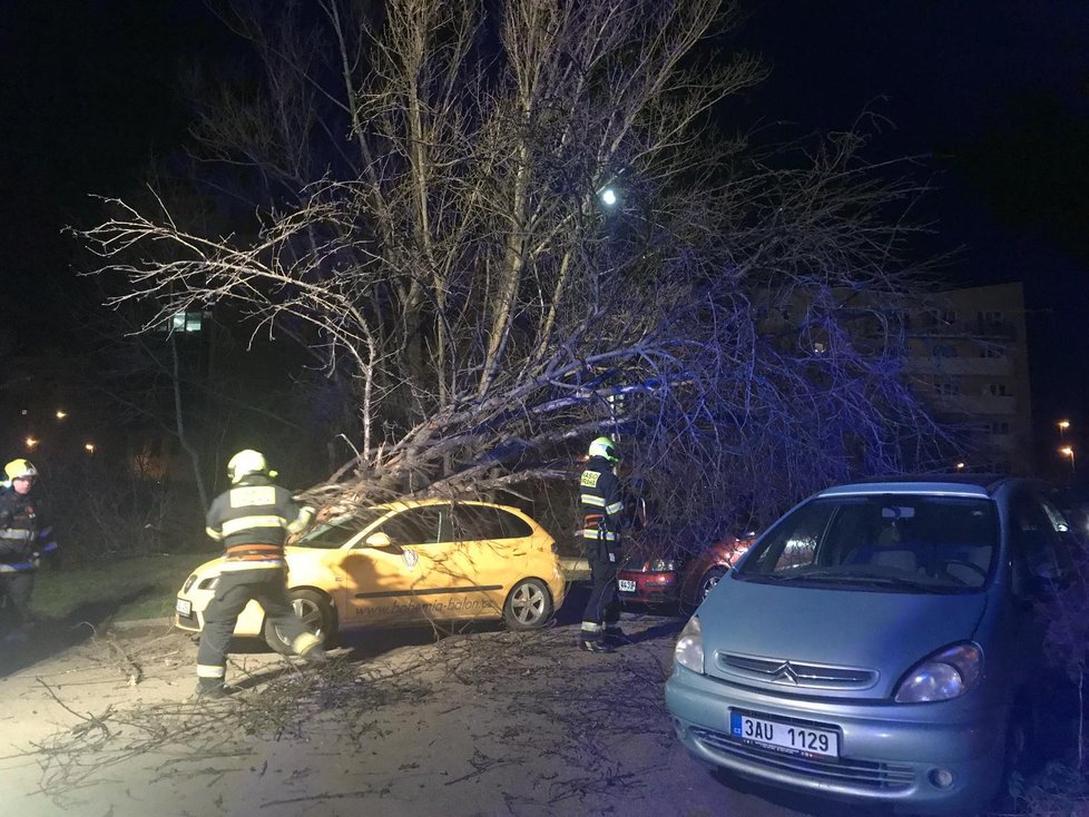 V Dřevčické ulici spadl strom na zaparkovaná auta.