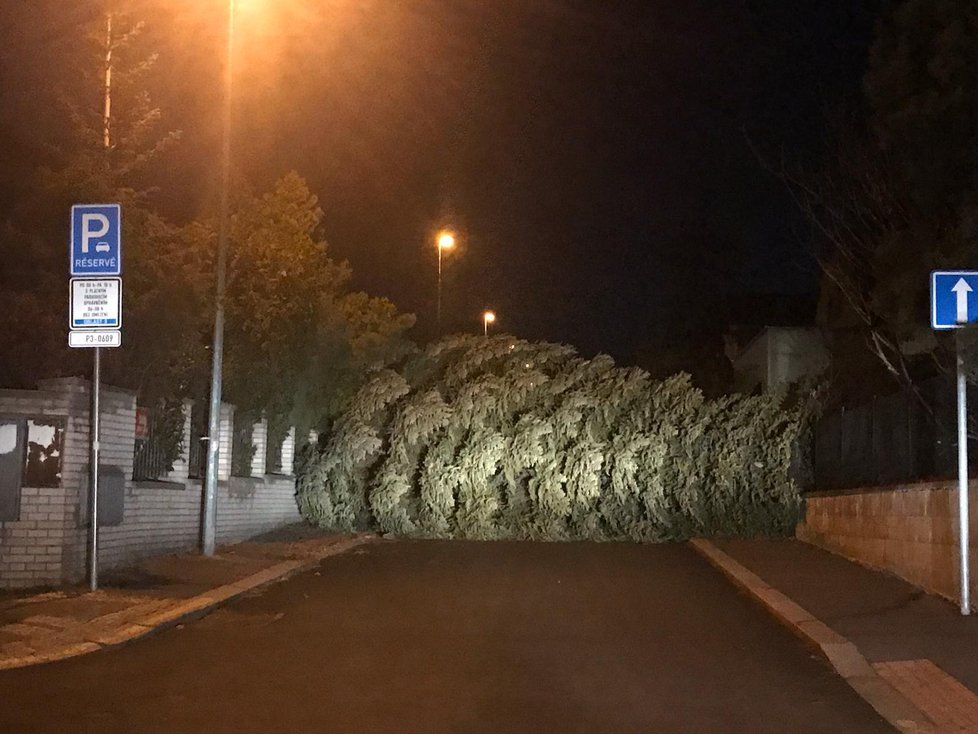 V ulici Šikmá na Žižkově spadl strom přes ulici.