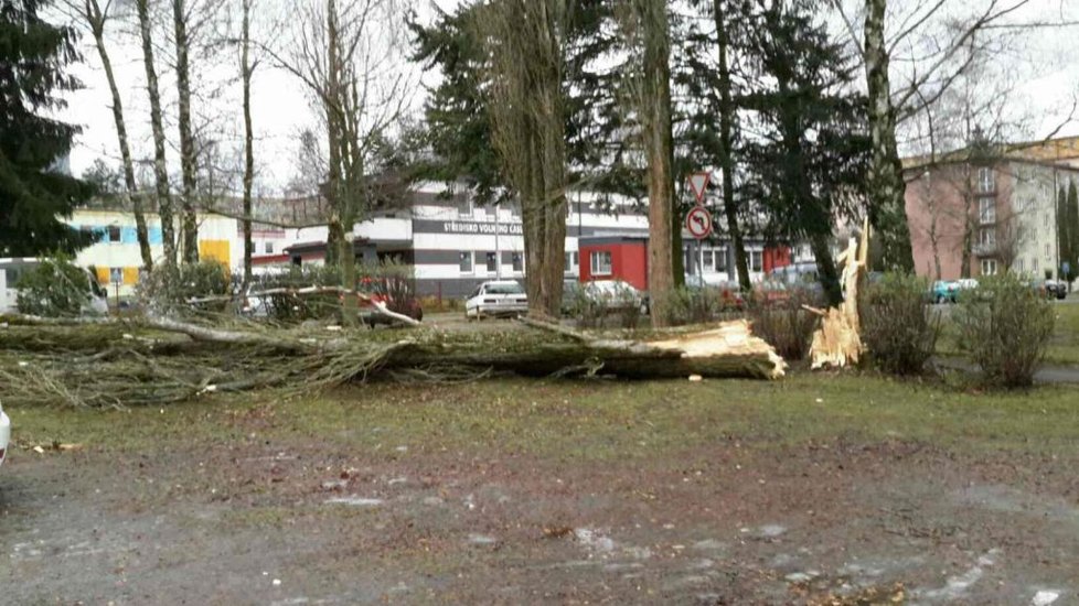 Víkendový vítr kosil vše, co mu stálo v cestě - hasiči museli zachraňovat paraglidistu ze stromu.