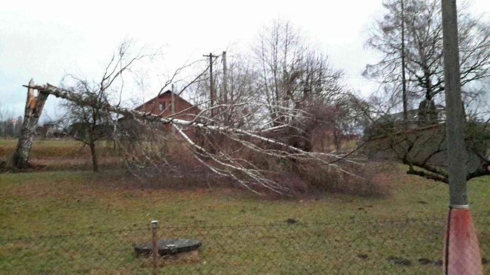 Víkendový vítr kosil vše, co mu stálo v cestě - hasiči museli zachraňovat paraglidistu ze stromu.