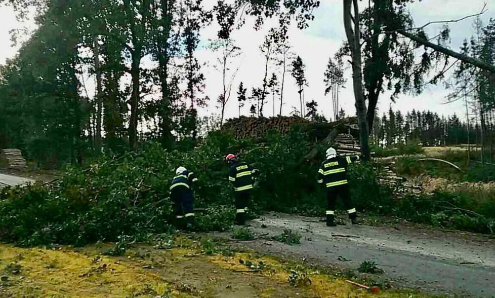 Vítr lámal stromy v Jihomoravském kraji (3.10.2020)