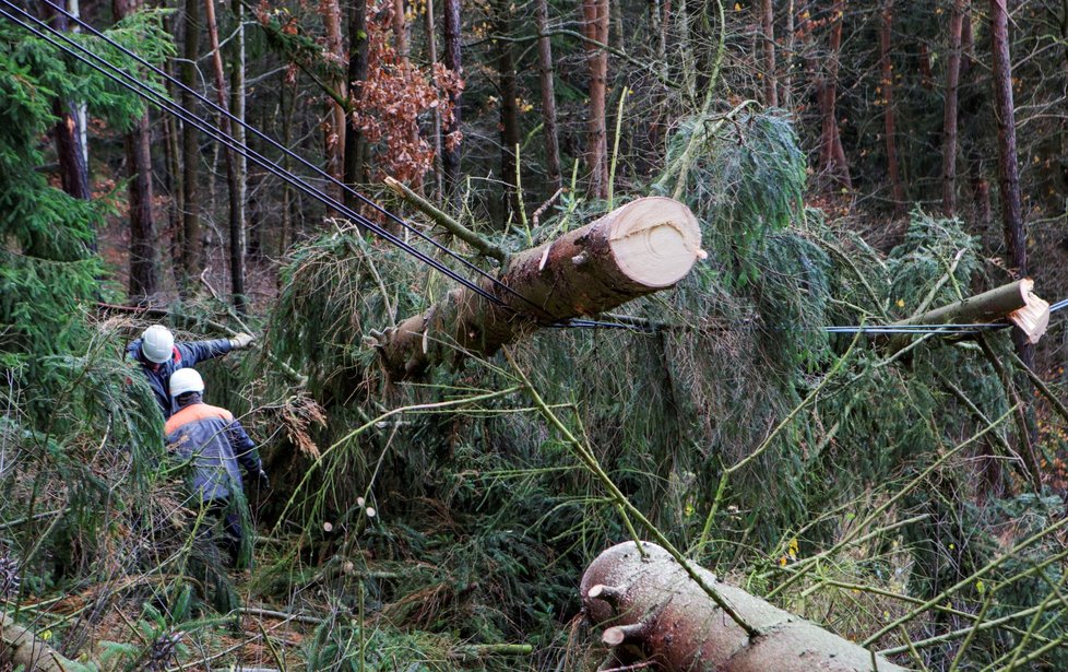 V Plzeňském kraji zůstává bez elektřiny 1300 domácností.