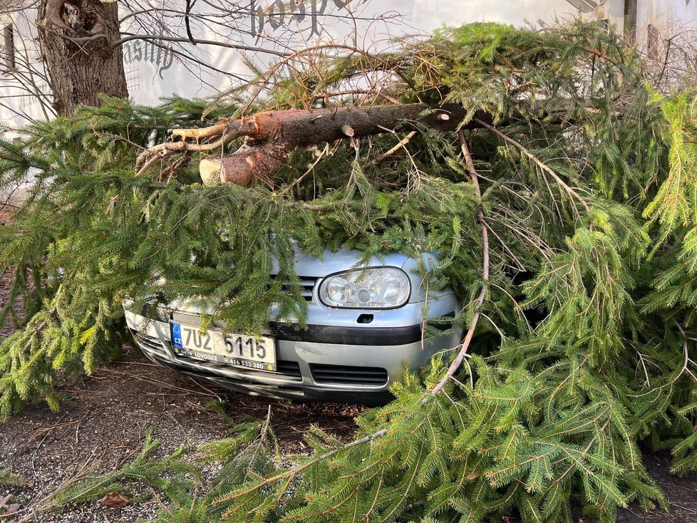 Pražští hasiči odstraňují následky silného větru, který se prohnal republikou (17. únor 2022).