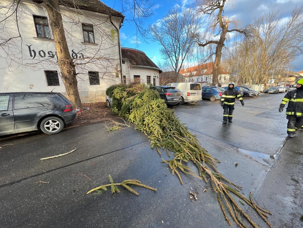 Pražští hasiči odstraňují následky silného větru, který se prohnal republikou. (17. únor 2022)