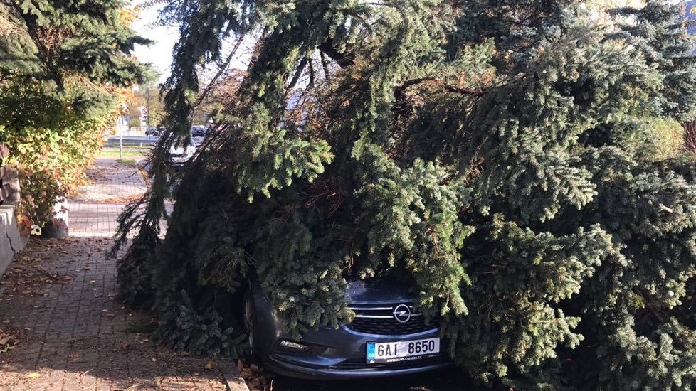 Prahu trápí hlavně popadané stromy, některé z nich poškodily i zaparkovaná auta.