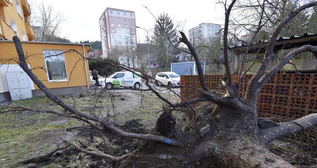 Vítr lámal kusy střech i stromy bez slitování.