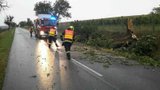 Vichřice v Česku poničila auta i střechy. Vlak narazil do stromu, cestující evakuovali