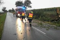 Vichřice v Česku poničila auta i střechy. Vlak narazil do stromu, cestující evakuovali