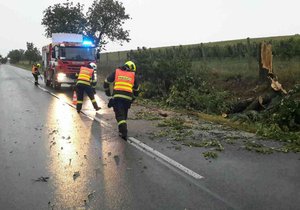 Do Česka dorazila vichřice, hasiči měli opět napilno.