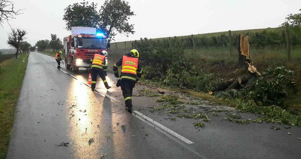 Vichřice v Česku poničila auta i střechy. Vlak narazil do stromu, cestující evakuovali