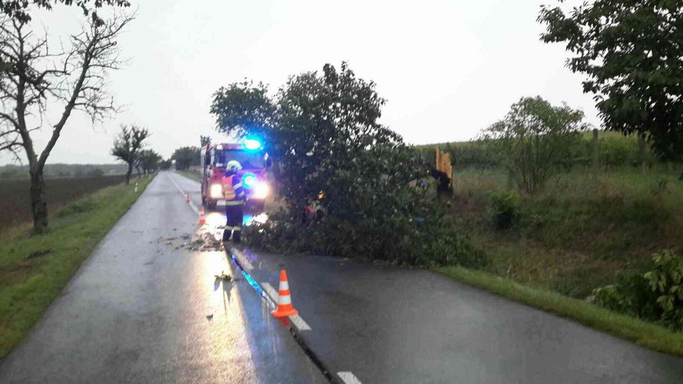 Hasiči při čtvrtečním řádění silného větru zasahovali na třiceti místech. Největší počet výjezdů zaznamenali na Břeclavsku.