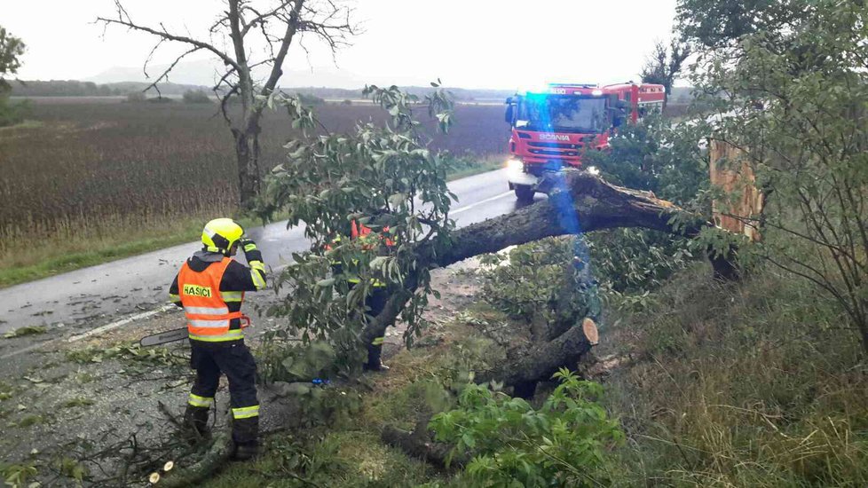 Vítr zaměstnává hasiče: Vyvrací stromy, odnáší střechy (archivní foto)