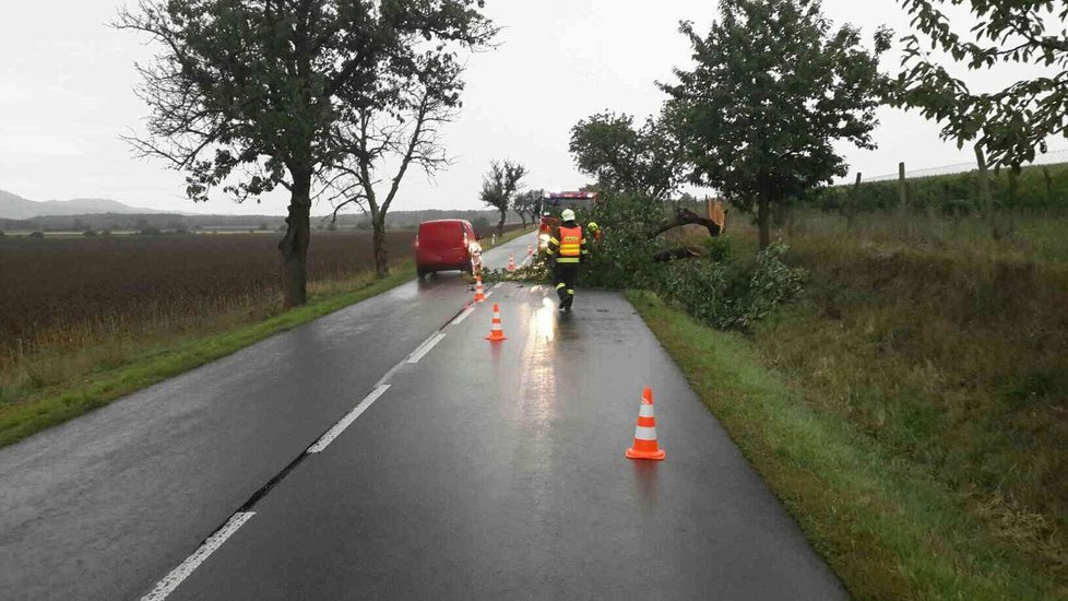 Vítr zaměstnává hasiče: Vyvrací stromy, odnáší střechy (archivní foto)