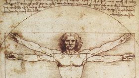Vitruviánský muž od Leonarda da Vinciho