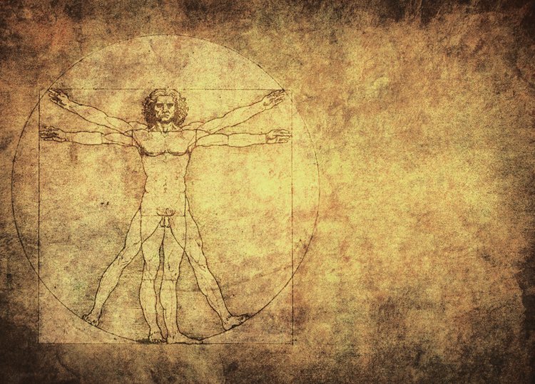 Kresba Vitruviánský muž znázorňuje proporce lidského těla a nazvána je podle architekta Vitruvia, který se zabýval symetrií a proporcemi staveb