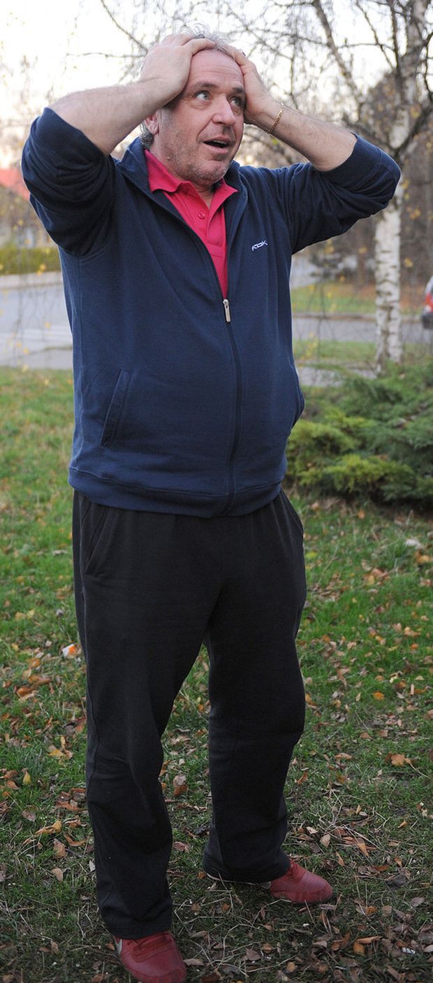 Ladislav Vízek. Ladislav Vízek.