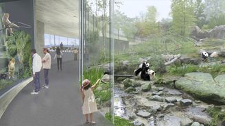 Pražská zoo postaví pavilon pro pandy, i když je od Číňanů nemá jisté