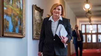 Plán Schillerové zvýšit limit pro platbu DPH by pomohl byznysu, míní experti. Musí ale vyjednávat s Evropou Plán Schillerové zvýšit limit pro platbu DPH by pomohl byznysu, míní experti. Musí ale vyjednávat s Evropou