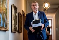 Babišova vláda zasedne poprvé s Červeným: Probere plán legislativních prací i vlajky