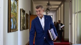 Jednání vlády: Andrej Babiš (ANO) (29.6.2026)
