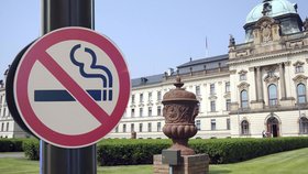 Vláda odmítla návrh poslanců na zmírnění protikuřáckého zákona.