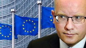 Vláda zvažuje další žalobu na Evropskou komisi