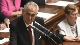 Zeman vystoupí ve Sněmovně při schvalování rozpočtu.