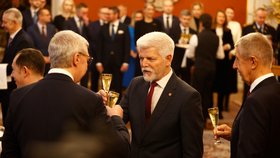 Prezident Petr Pavel jmenuje vládu premiéra Andreje Babiše (ANO) složenou ze zástupců hnutí ANO, SPD a Motoristů: Na snímku Petr Macinka za Motoristy (15. 12. 2025)