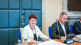 Jednání vlády o pomoci Ukrajině i českým občanům: Ministryně Anna Hubáčková (6.4.2022)