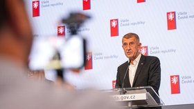 Jednání vlády: TK po jednání vlády, premiér Andrej Babiš (ANO) (1.6.2026)