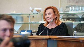 Sněmovna schválila rozpočtovou novelu, výdaje na obranu a stavby půjde navyšovat až do roku 2036 Sněmovna schválila rozpočtovou novelu, výdaje na obranu a stavby půjde navyšovat až do roku 2036