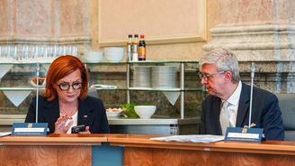 Propusťte deset procent úředníků, nařídil Babiš. Ministři se vzepřeli Propusťte deset procent úředníků, nařídil Babiš. Ministři se vzepřeli