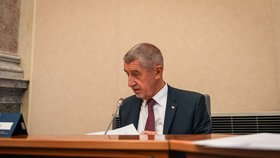 Předvánoční jednání vlády: Andrej Babiš (22.12.2025)