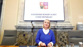 Jednání Fialovy vlády o demisi: Jana Černochová (6.11.2025)