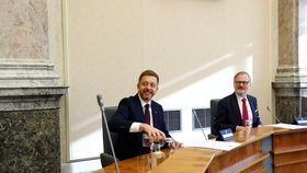 Jednání Fialovy vlády o demisi: Vít Rakušan a Petr Fiala (6.11.2025)