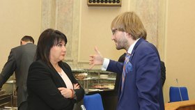 Ministři Alena Schillerová a Adam Vojtěch na jednání vlády