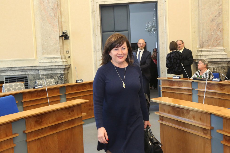 Ministryně financí Alena Schillerová (za ANO) před jednáním vlády