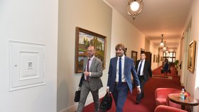 Ministři Plaga a Vojtěch přichází na jednání vlády