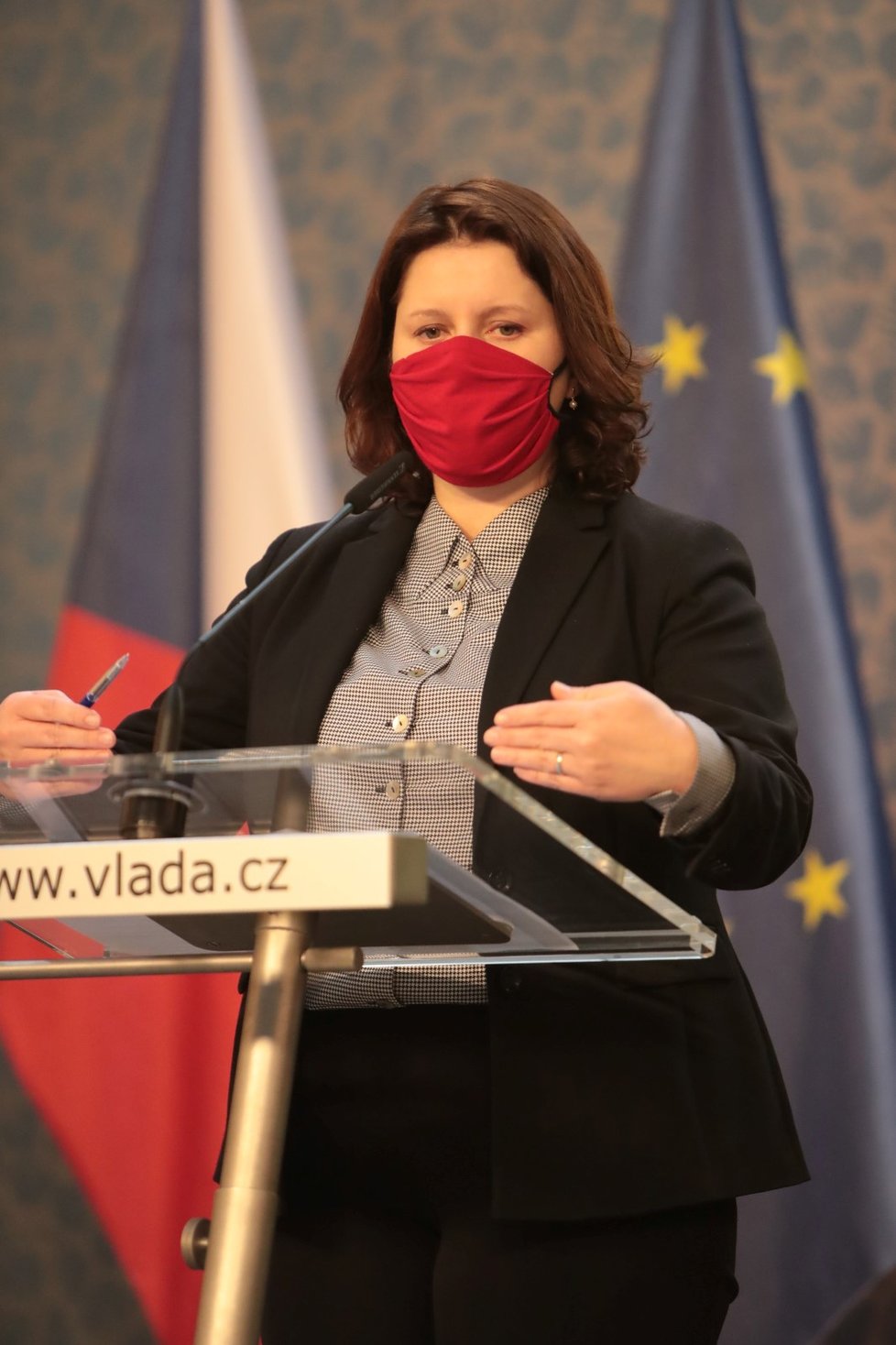Jednání vlády o koronaviru 25. května 2020: Jana Maláčová (ČSSD)