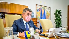 Premiér Andrej Babiš (ANO) na jednání vlády (21. 12. 2020)