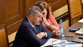 Hlasování o nedůvěře vládě Andreje Babiše (26.6. 2019)