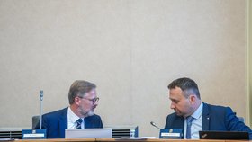 Premiér Petr Fiala a ministr práce a sociálních věcí Marian Jurečka na jednání vlády