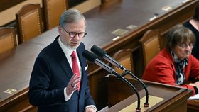 Jednání poslanecké sněmovny o vyslovení nedůvěry vládě: Premiér Petr Fiala (17. 10. 2023)