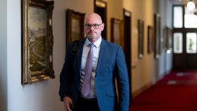 Jednání vlády: Robert Plaga (ANO) (23.2.2026)