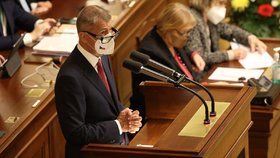 Jednání Sněmovny o důvěře vlády: Expremiér Andrej Babiš (ANO) (13.1.2022)