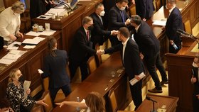 Gratulace po vyhlášení výsledků hlasování o vyslovení důvěry vládě.
