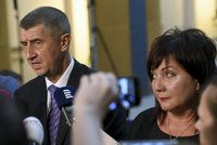 Babiš má další kandidáty na finance. Z vlády chce odejít na konci května