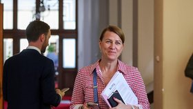 Jednání vlády: Tünde Bartha (22.6.2026)